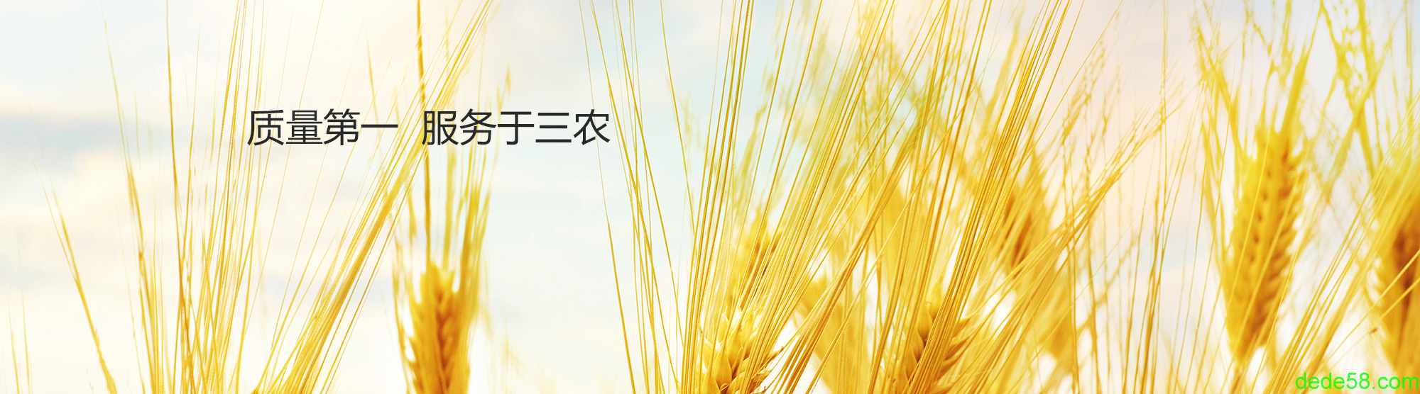 幻灯2