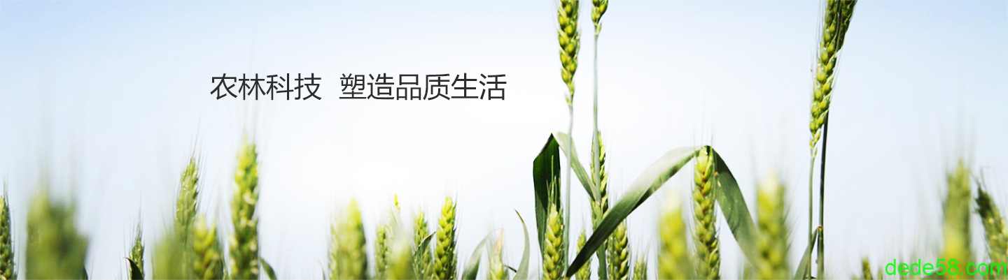幻灯3
