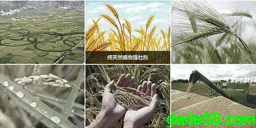 图片关键词